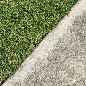 Meet your Posher, Yolanda